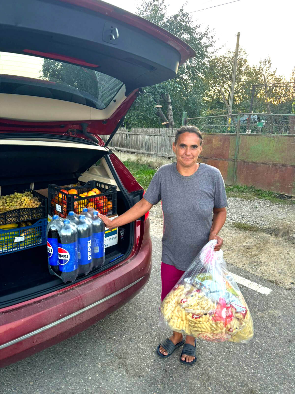 Family support in Pildesti
